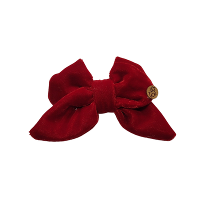 Foto Laçarote Pet - Veludo Alemão Carmim