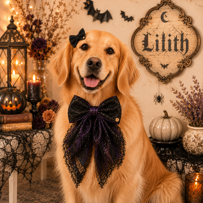 Foto Laçarote Max Lilith