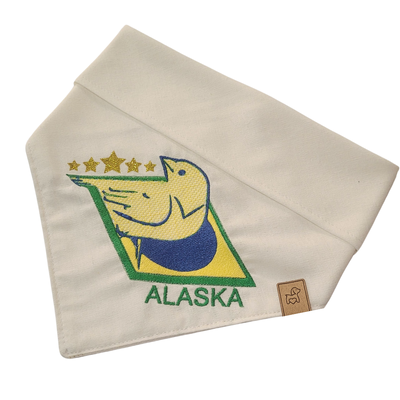 Foto Bandana Seleção Canarinho