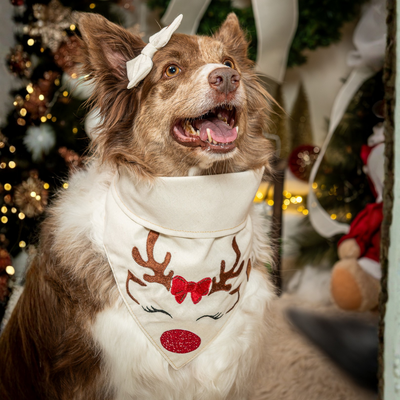 FotoBandana Rena Encantada