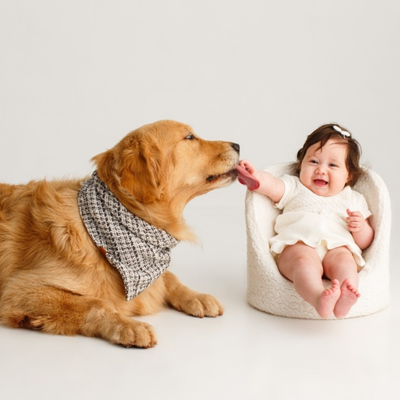 FotoBandana Inverno Tweed P&B