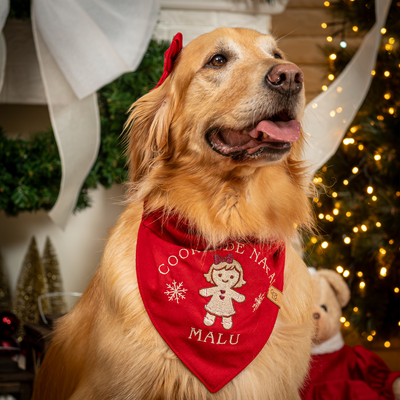 FotoBandana Cookie de Natal