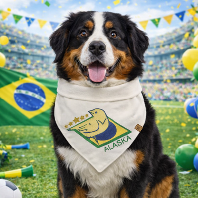 FotoBandana Seleção Canarinho