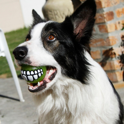 FotoKONG Grinz by Rogz - Bola de Sorriso Para Cães Dispenser Para Ração e Petiscos