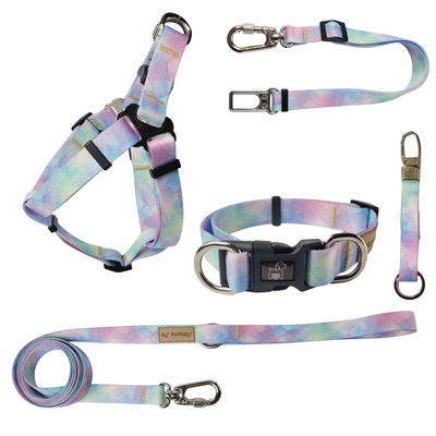 Foto Kit Passeio Colore