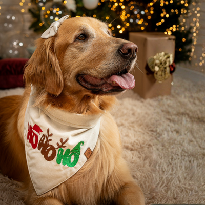 FotoBandana Ho Ho Ho