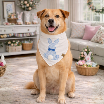 FotoBandana Páscoa - Petit Benjamin