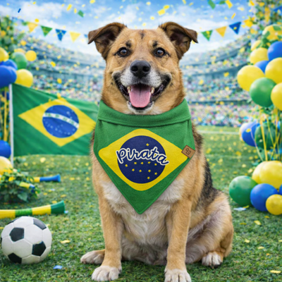 FotoBandana Orgulho Brasileiro 🇧🇷