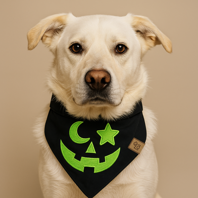 FotoBandana Halloween - Abóbora Verde