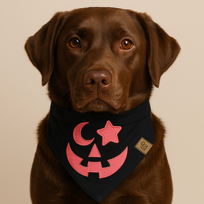 FotoBandana Halloween - Abóbora Pink