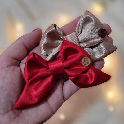 FotoLaçarote Pet - Cetim Inset Prada Rubi