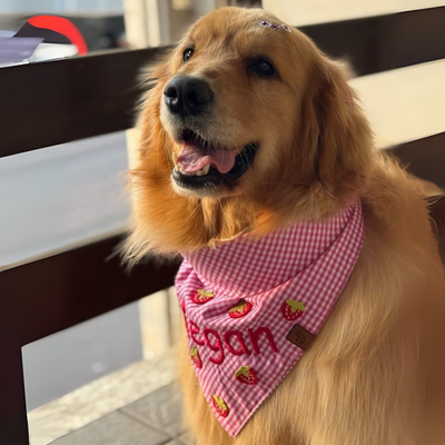 FotoBandana Morango do Amor