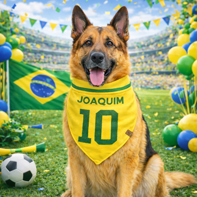 FotoBandana Craque da Copa