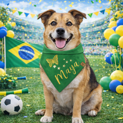 FotoBandana Encanto do Brasil