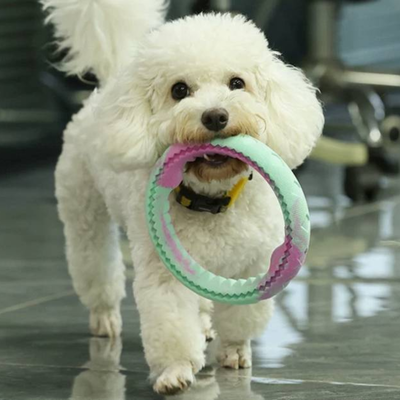 FotoAnel Neon Rosa Qmonster