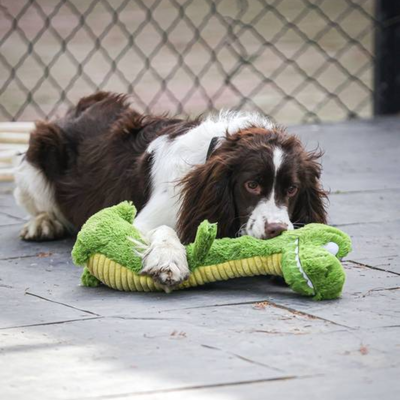 FotoPelúcia Crocodilo Pescoço Comprido