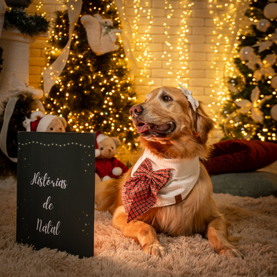 FotoLaçarote Pet - Caramelo de Natal