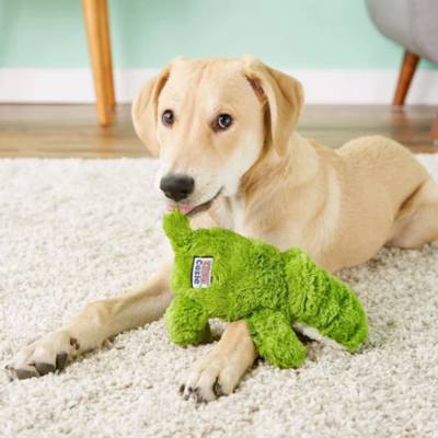 FotoKONG Cozie Ali Alligator Small