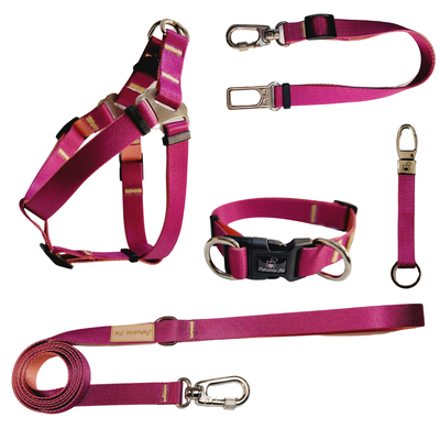 Foto Kit Passeio Colorful - Violeta