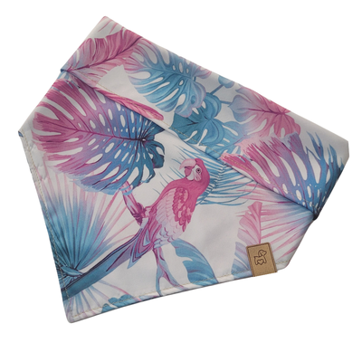 Foto Bandana Tropicandy