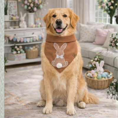 FotoBandana Páscoa - Petit Cacau