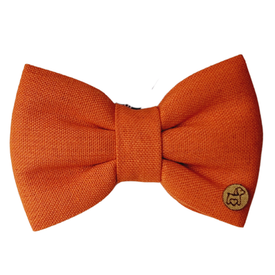Foto Gravata Colorful Laranja