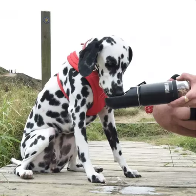 FotoGarrafa Kong Trek & Treat