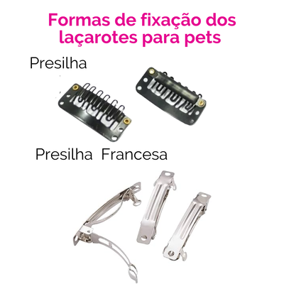 FotoLaçarote Pet - Pinheiro Real