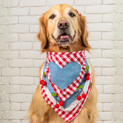 Foto Bandana São João - Maria Bonita