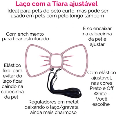 FotoLaço Abóbora