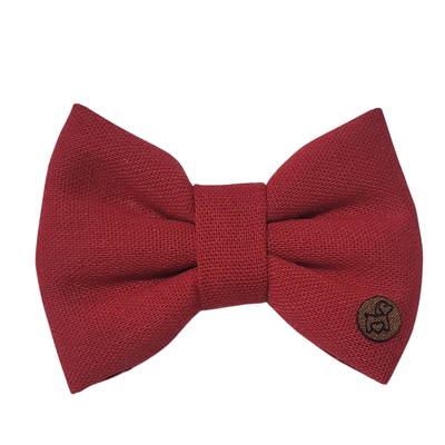 Foto Lacinho Noite do Noel