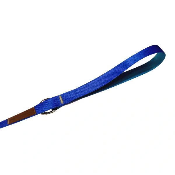 Guia Colorful - Royal