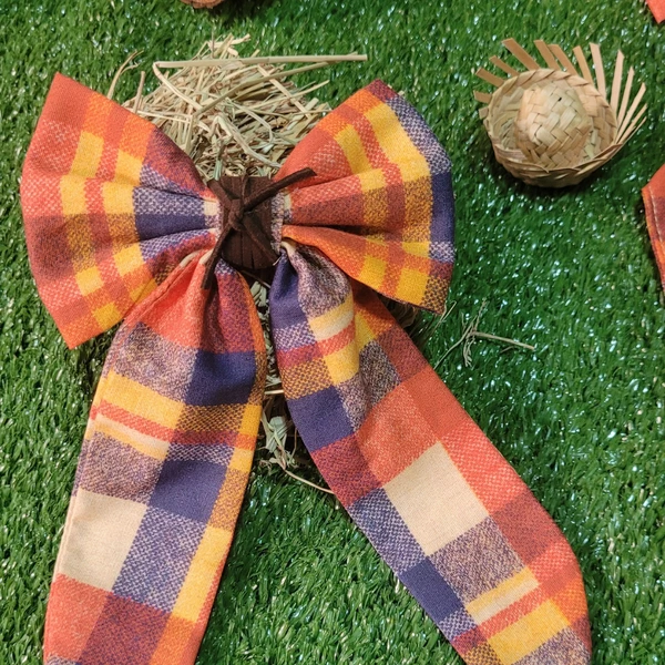 Laçarote Tal Mãe, Tal Pet São João - Boiadeira
