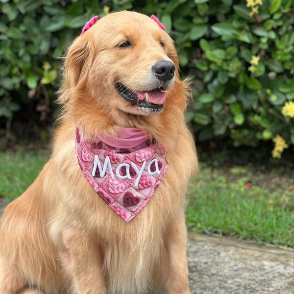 Bandana Amoreco