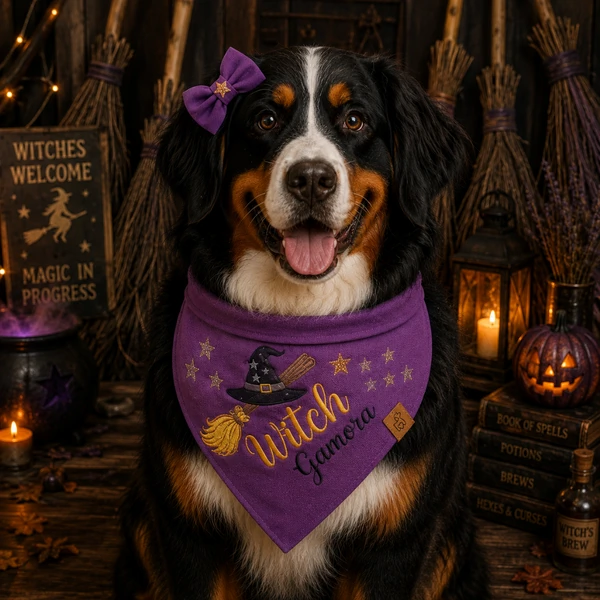 Bandana Witch
