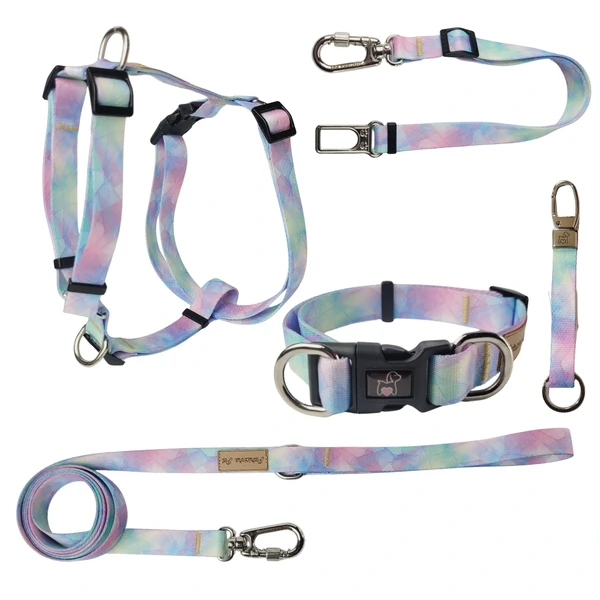 Kit Passeio Colore