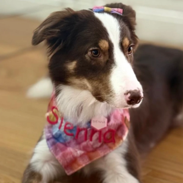 Bandana Pelucita