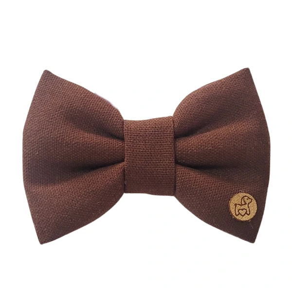 Laço Colorful - Café