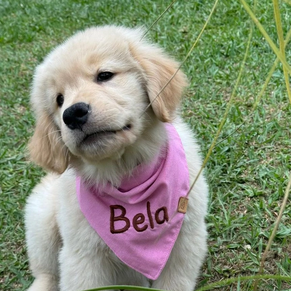 Bandana Colorful - Rosa Bebê