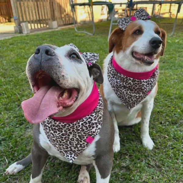 Bandana Oncinha II