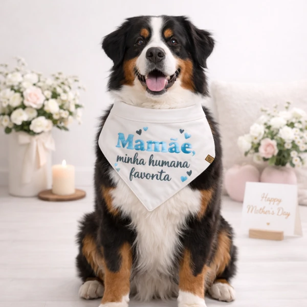 Bandana Mamãe, Minha Humana Favorita