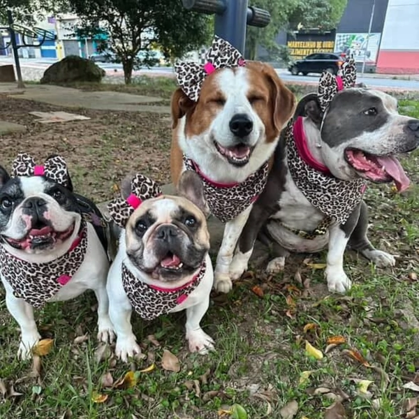 Bandana Oncinha II