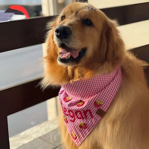 Bandana Morango do Amor