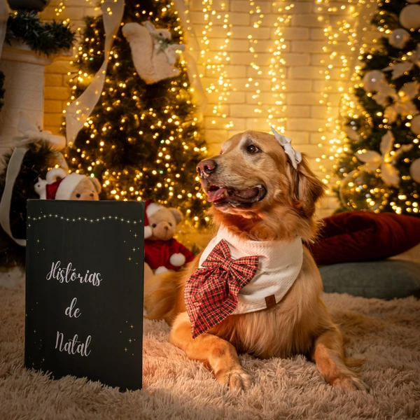 Laçarote Pet - Caramelo de Natal