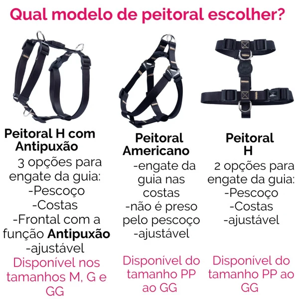 Kit Passeio Colore