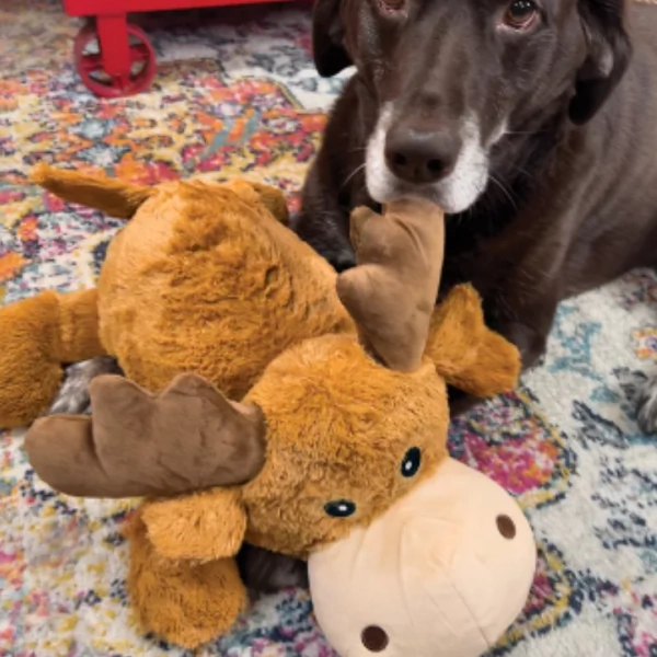 KONG Cozie Marvin Moose Medium