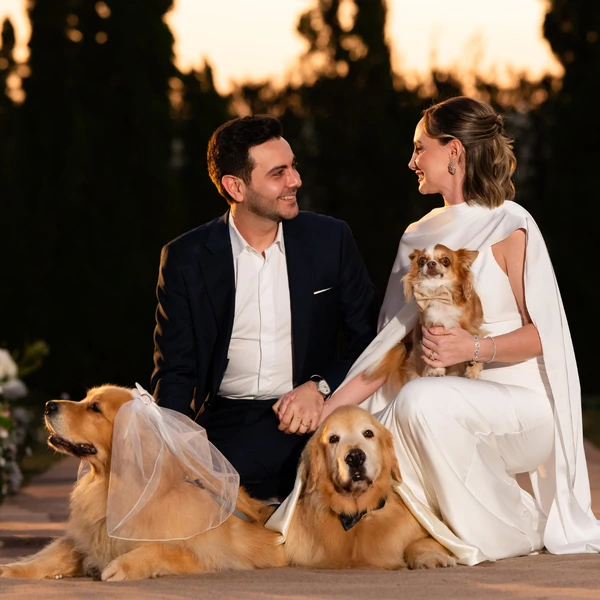 Véu Bridal Pet para Casamento - Véu de Noiva