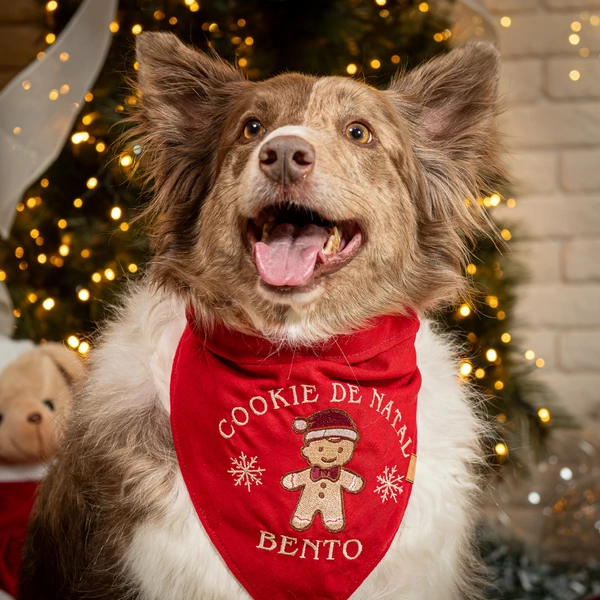 Bandana Cookie de Natal