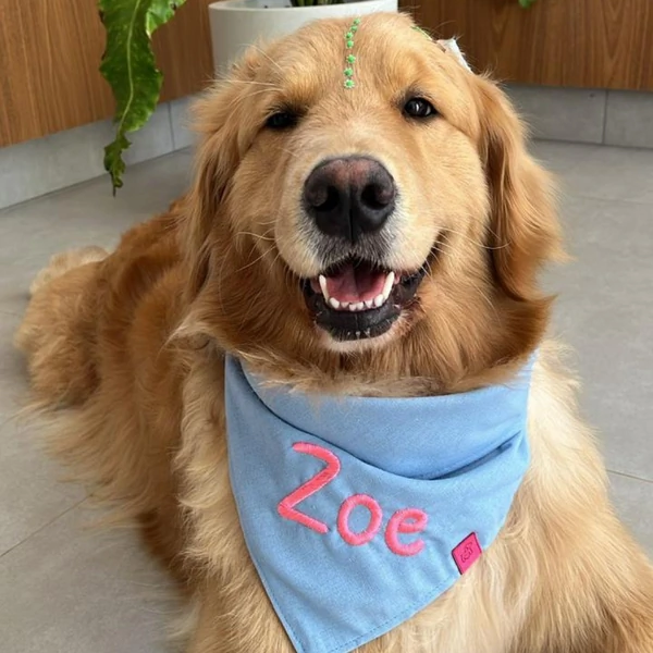 Bandana Colorful Azul Bebe