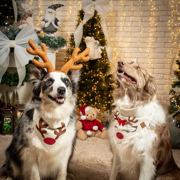 Bandana Reno Encantado